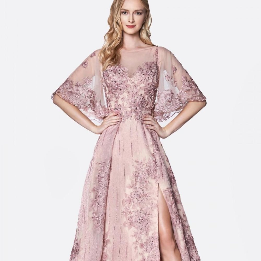 Cinderella Pink Lace Maxi Dress new